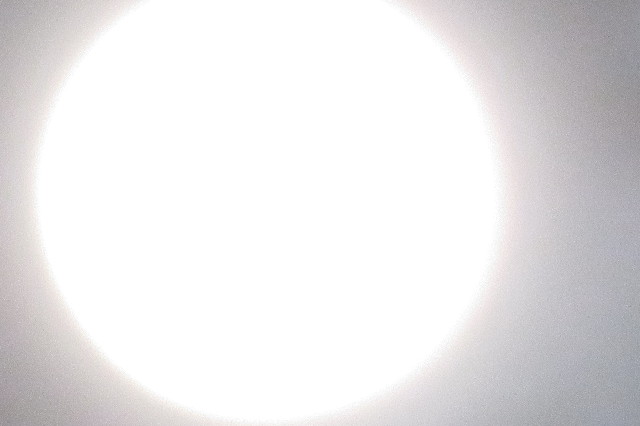 ファイル 6483-5.jpg