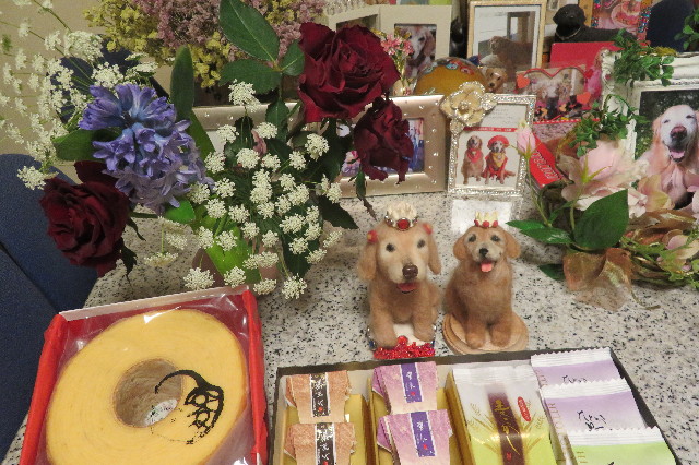 ファイル 6486-5.jpg