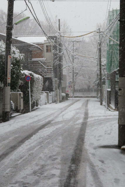 ファイル 6488-1.jpg