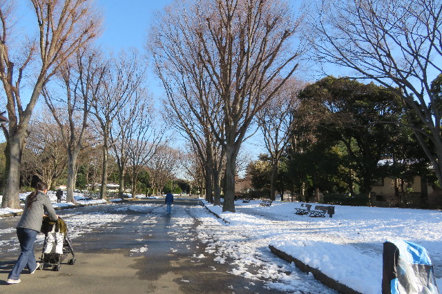 ファイル 6489-5.jpg