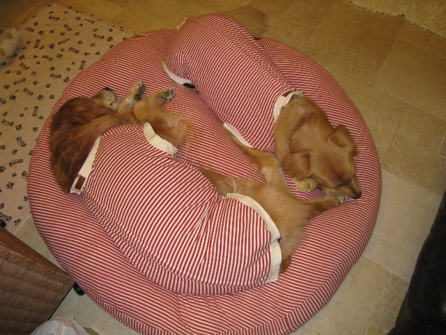 ファイル 649-1.jpg