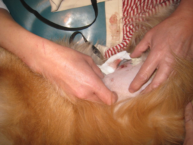 ファイル 649-2.jpg