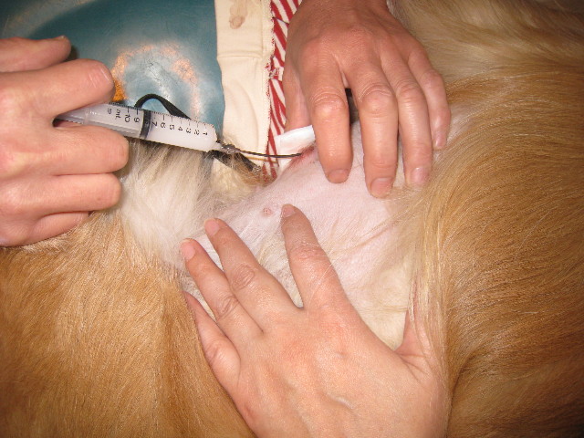 ファイル 649-4.jpg