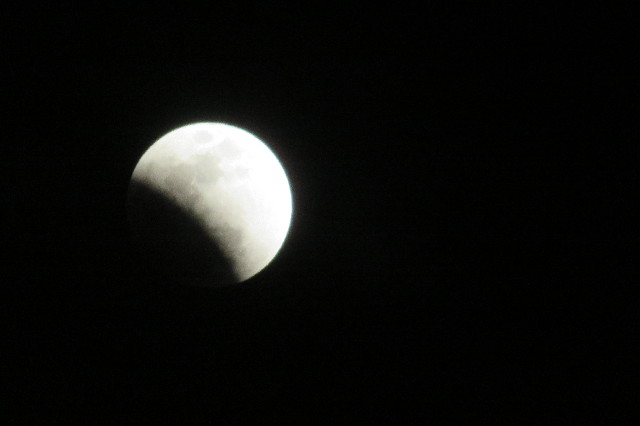 ファイル 6490-1.jpg