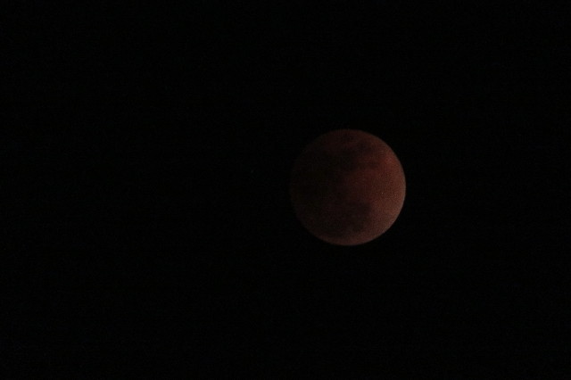 ファイル 6490-2.jpg