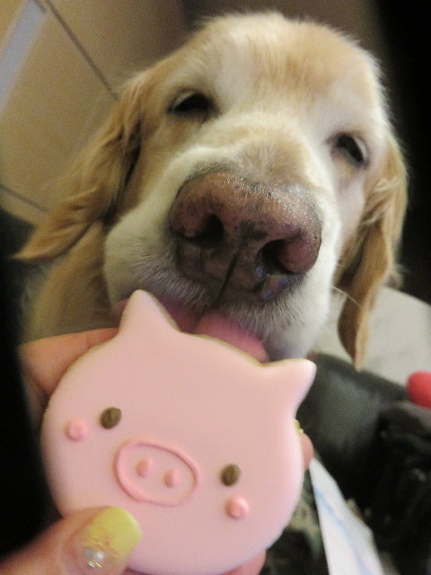 ファイル 6491-1.jpg