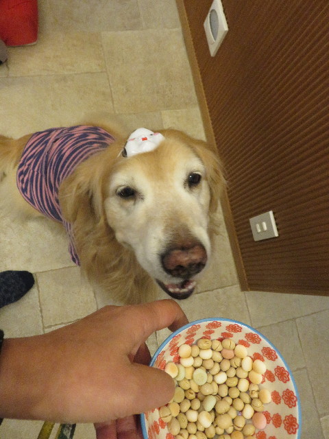 ファイル 6491-5.jpg