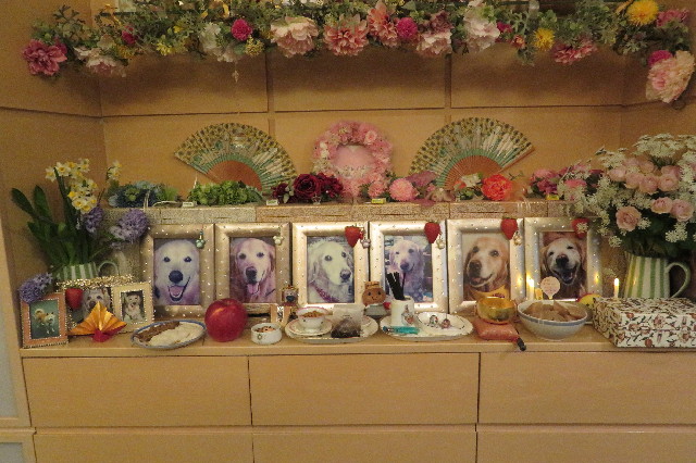 ファイル 6496-1.jpg