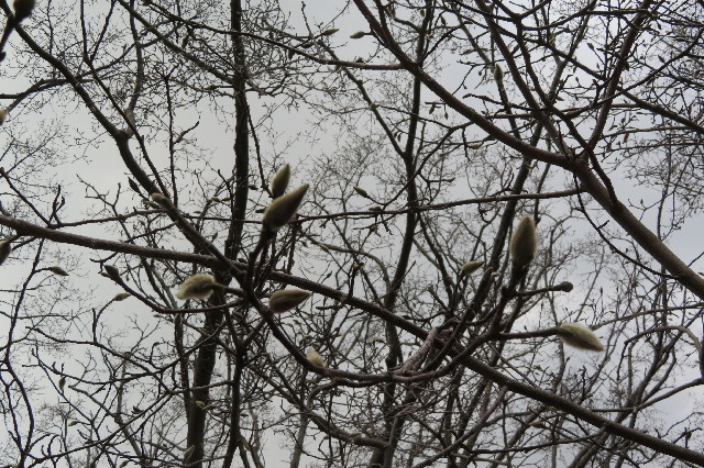 ファイル 6496-5.jpg