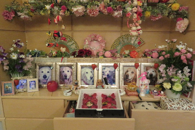 ファイル 6498-1.jpg