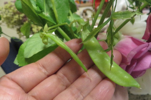 ファイル 6498-2.jpg