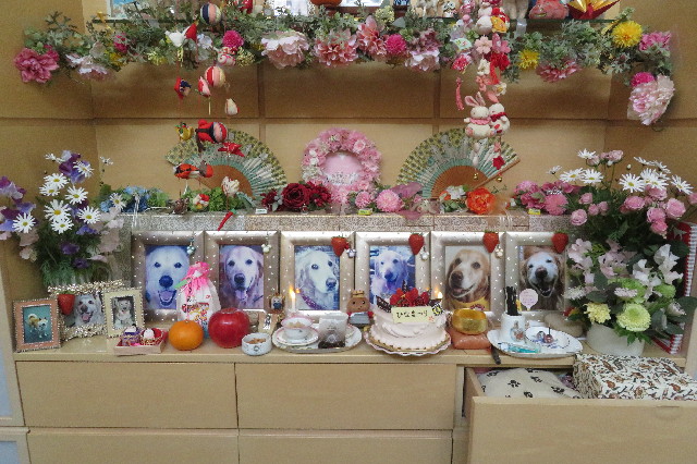 ファイル 6499-1.jpg