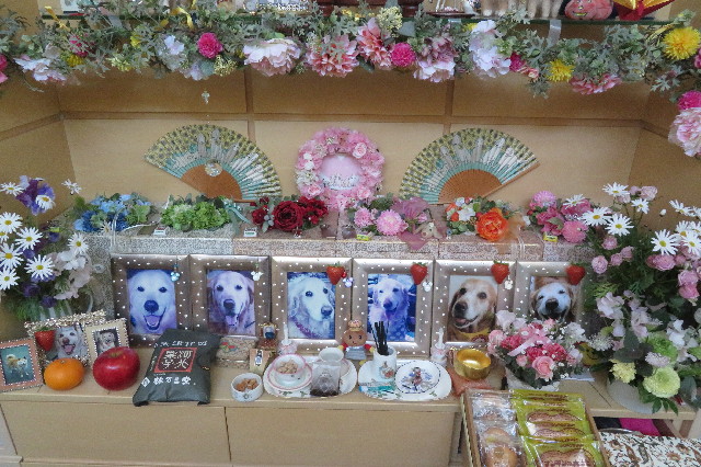 ファイル 6499-3.jpg