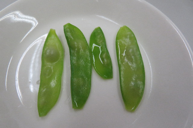 ファイル 6499-5.jpg