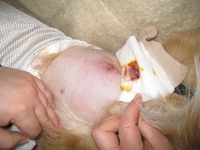 ファイル 650-5.jpg