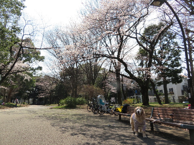 ファイル 6501-1.jpg