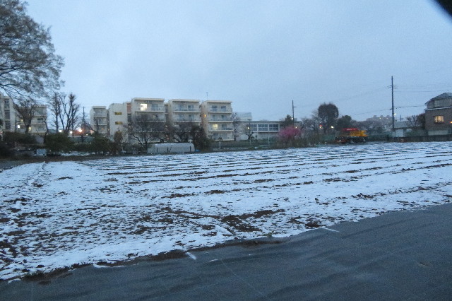 ファイル 6502-1.jpg