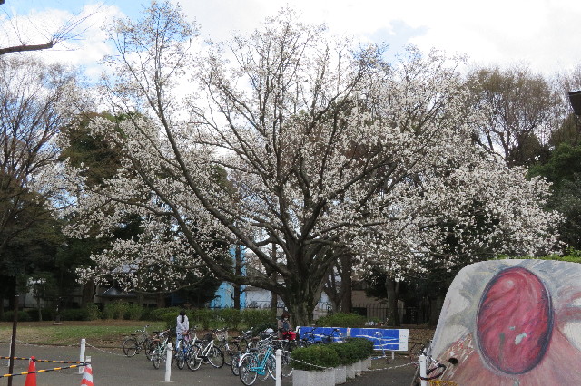 ファイル 6502-2.jpg