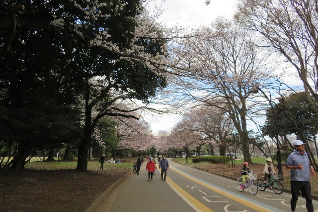 ファイル 6502-4.jpg