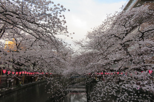 ファイル 6504-1.jpg