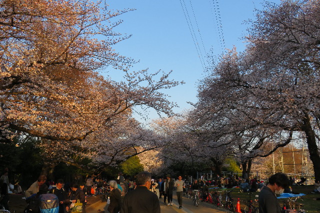 ファイル 6505-3.jpg