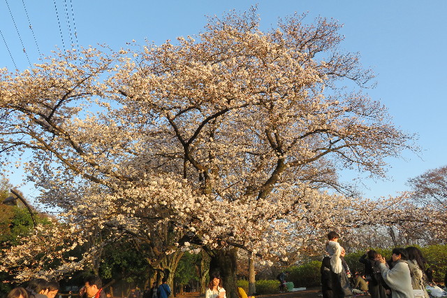 ファイル 6505-5.jpg