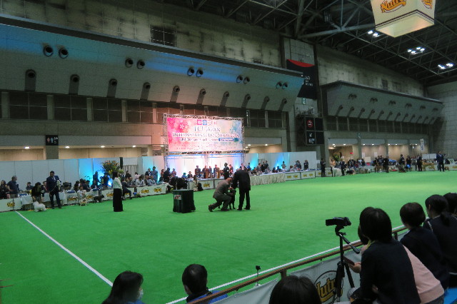 ファイル 6507-4.jpg