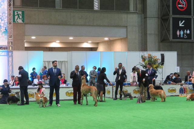 ファイル 6507-5.jpg