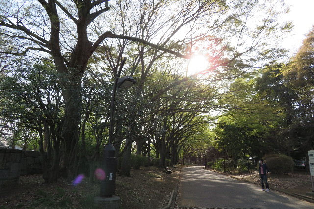 ファイル 6508-4.jpg