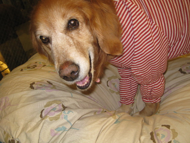 ファイル 651-5.jpg