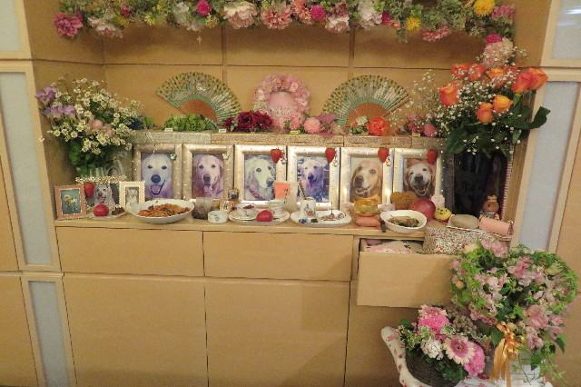 ファイル 6518-3.jpg