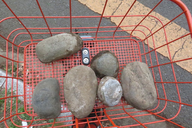 ファイル 6523-4.jpg