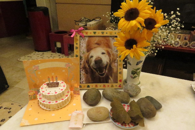 ファイル 6523-5.jpg