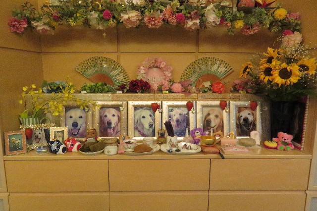 ファイル 6524-2.jpg