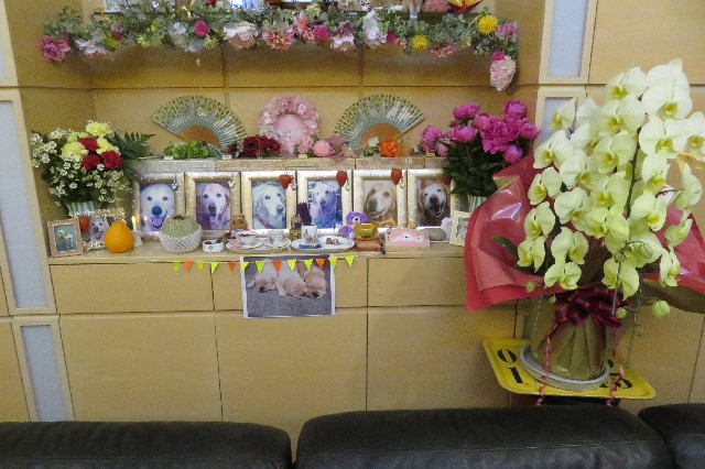 ファイル 6525-5.jpg