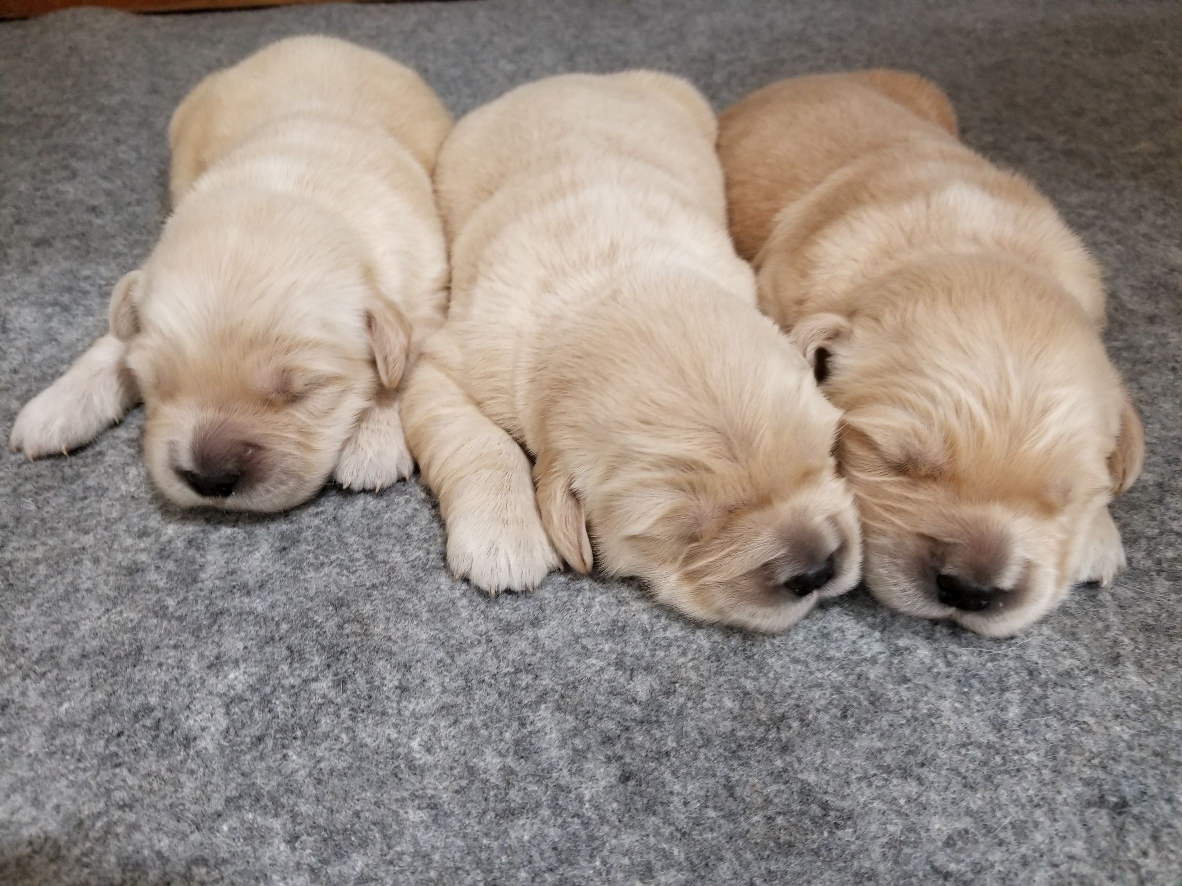 ファイル 6526-2.jpg