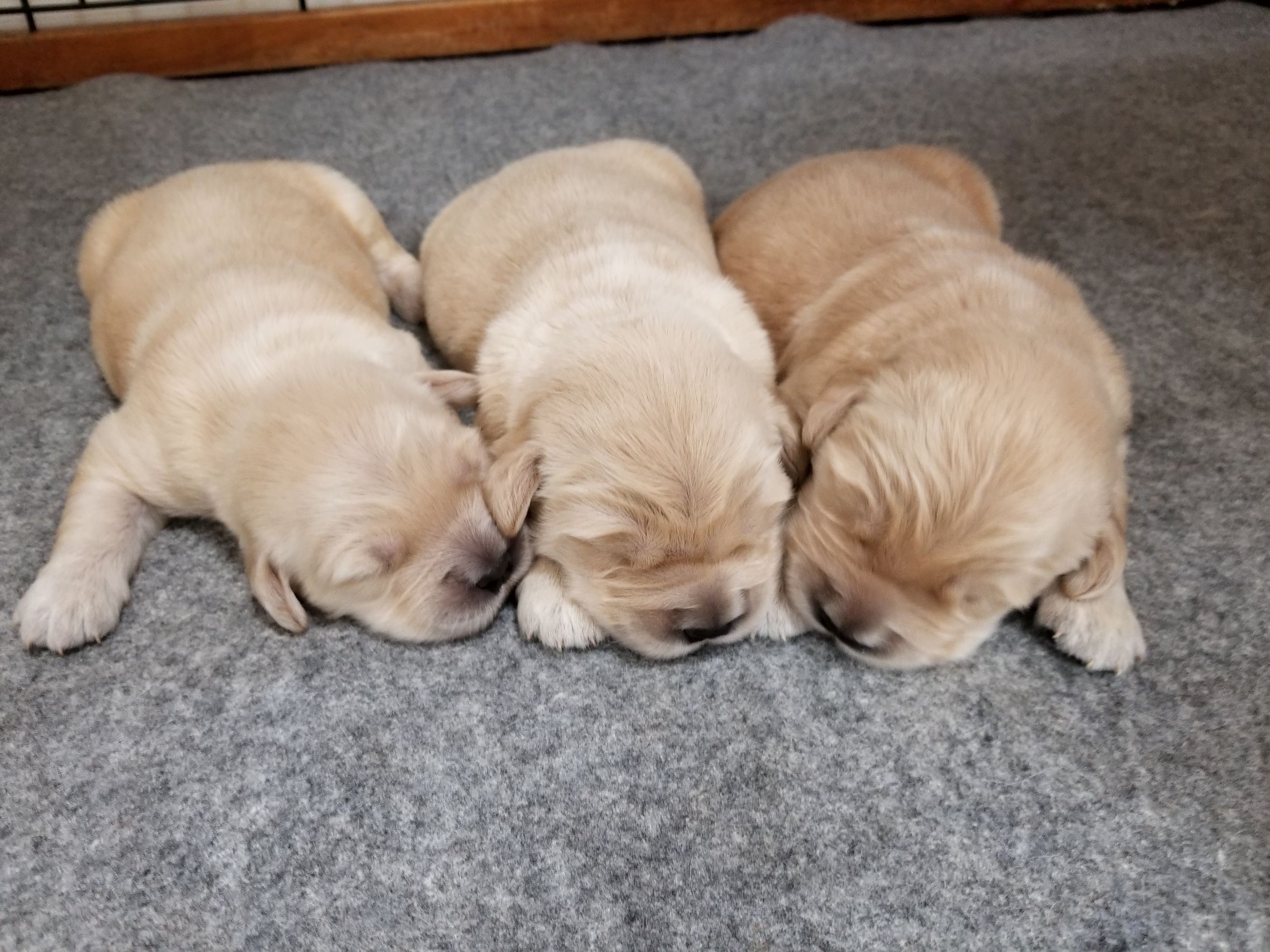 ファイル 6526-3.jpg