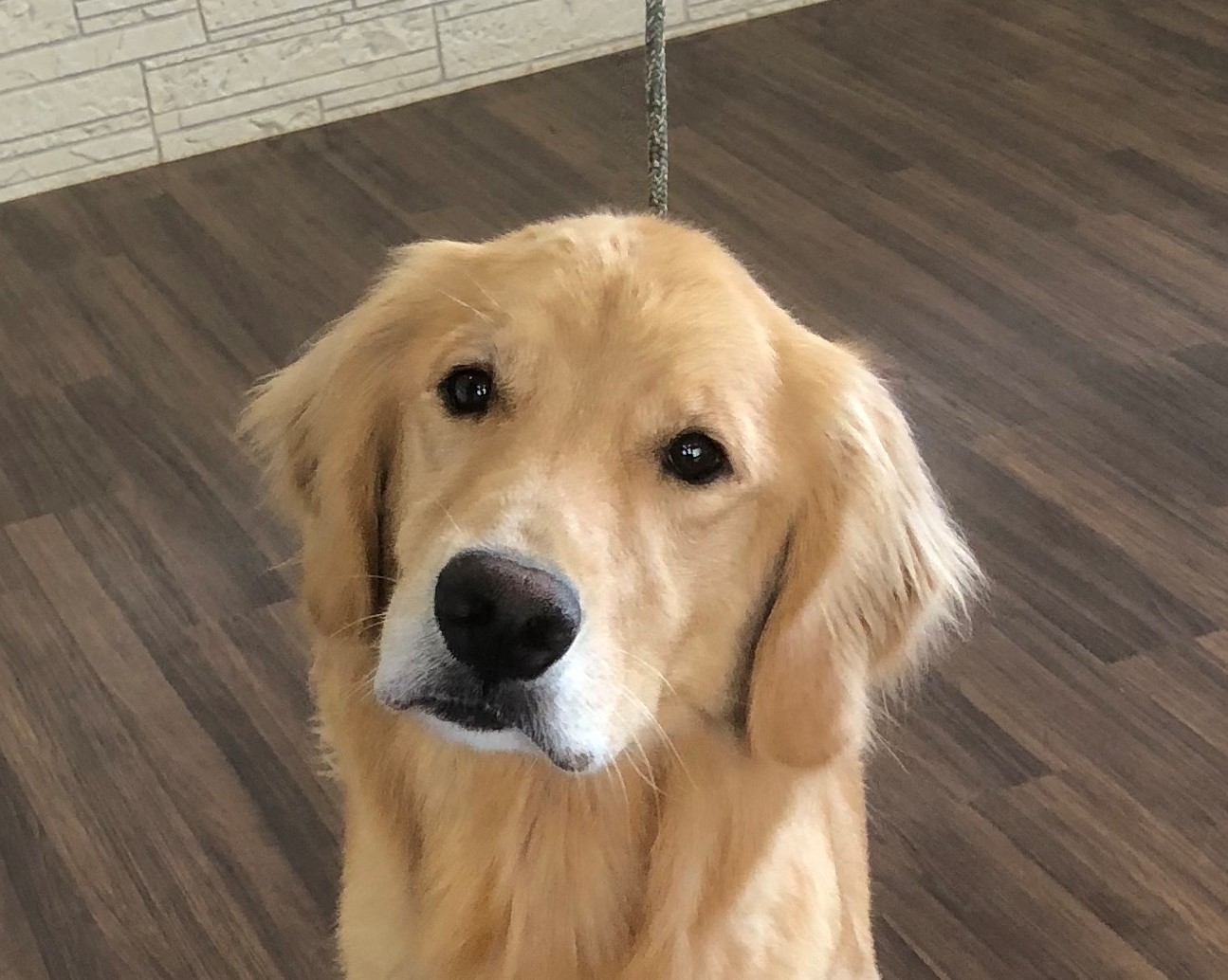 ファイル 6526-4.jpg