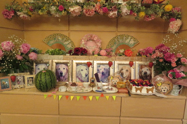 ファイル 6529-3.jpg