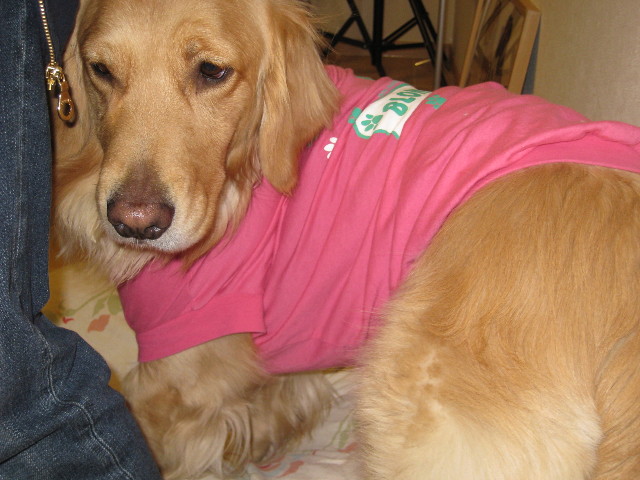 ファイル 653-1.jpg