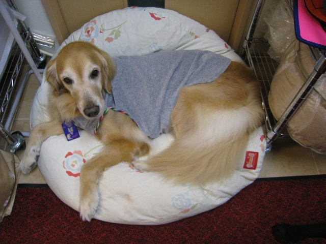 ファイル 653-3.jpg