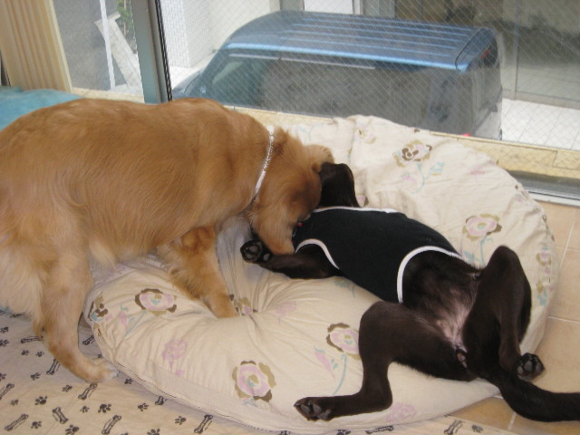 ファイル 653-4.jpg