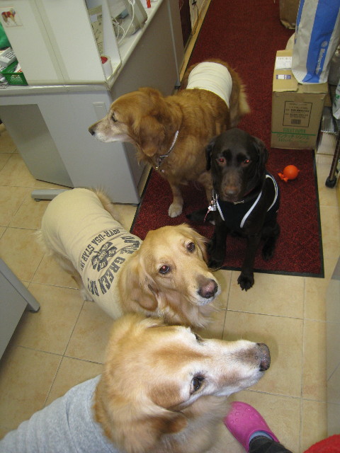 ファイル 653-5.jpg