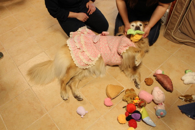 ファイル 6530-4.jpg