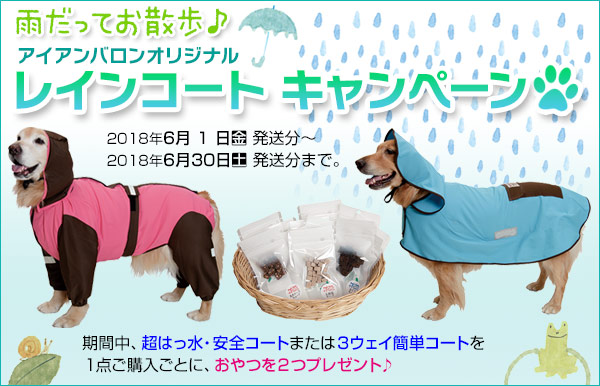 ファイル 6531-1.jpg