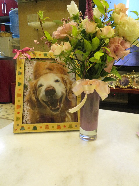 ファイル 6531-2.jpg