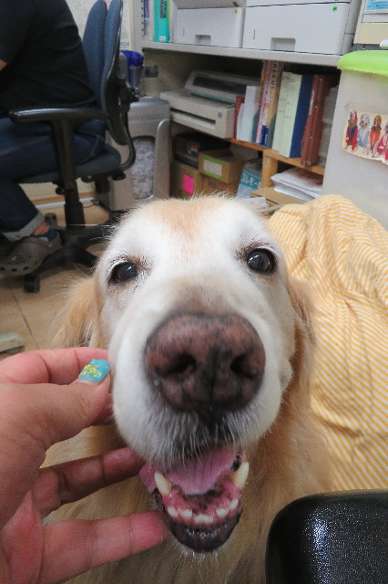 ファイル 6533-5.jpg