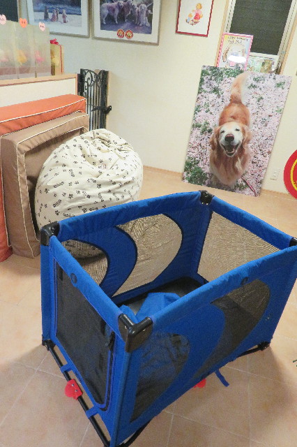 ファイル 6536-5.jpg