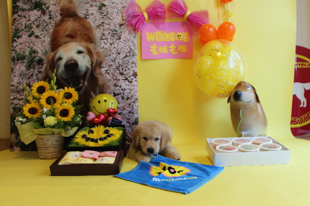 ファイル 6538-5.jpg