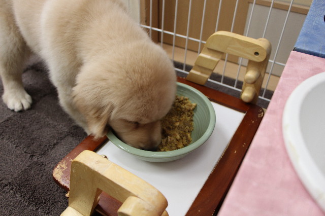 ファイル 6539-3.jpg